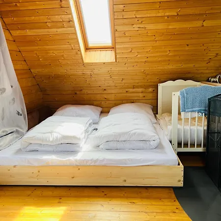 Villaharmony Wartet Auf Familien Mit Hund! * Lommatzsch