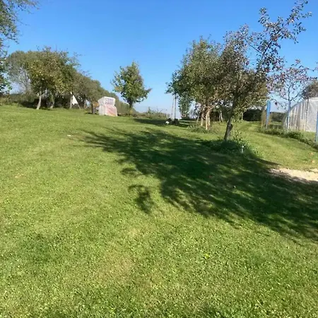 Villaharmony Wartet Auf Familien Mit Hund! *