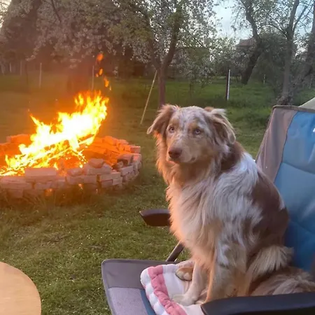 Villaharmony Wartet Auf Familien Mit Hund! Ferienhaus *