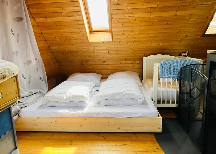 Villaharmony Wartet Auf Familien Mit Hund! * Lommatzsch